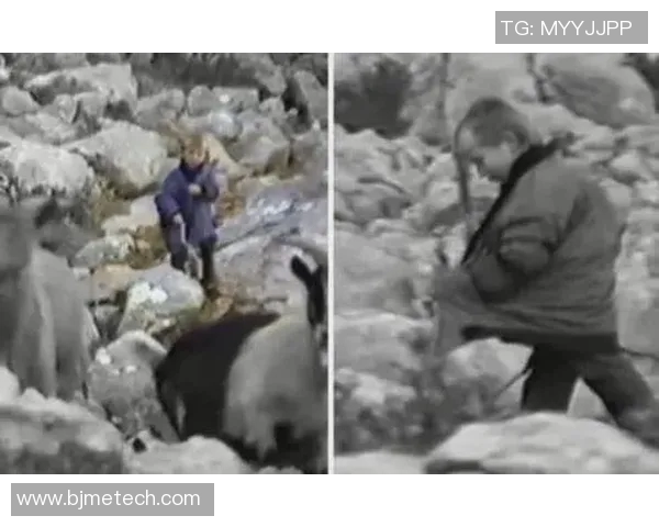 从放羊娃到足球明星的传奇人生与梦想追逐之路